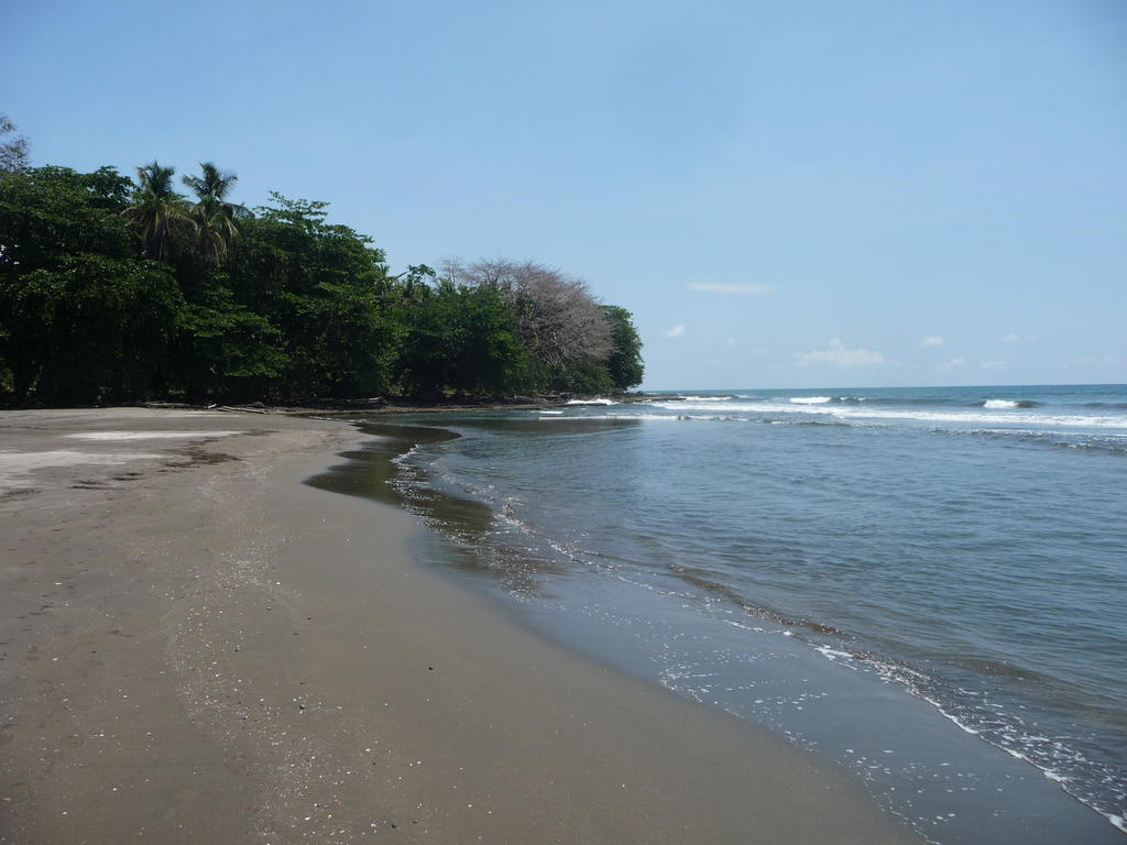 Сasa de vacaciones Topos Tree House Cahuita