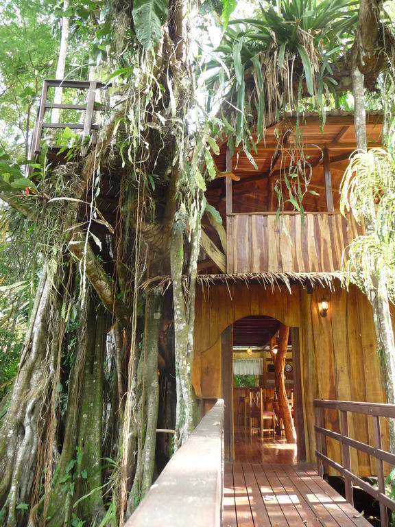 Сasa de vacaciones Topos Tree House *
